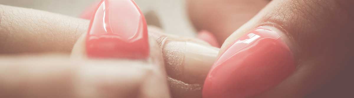 免费轰炸网页版